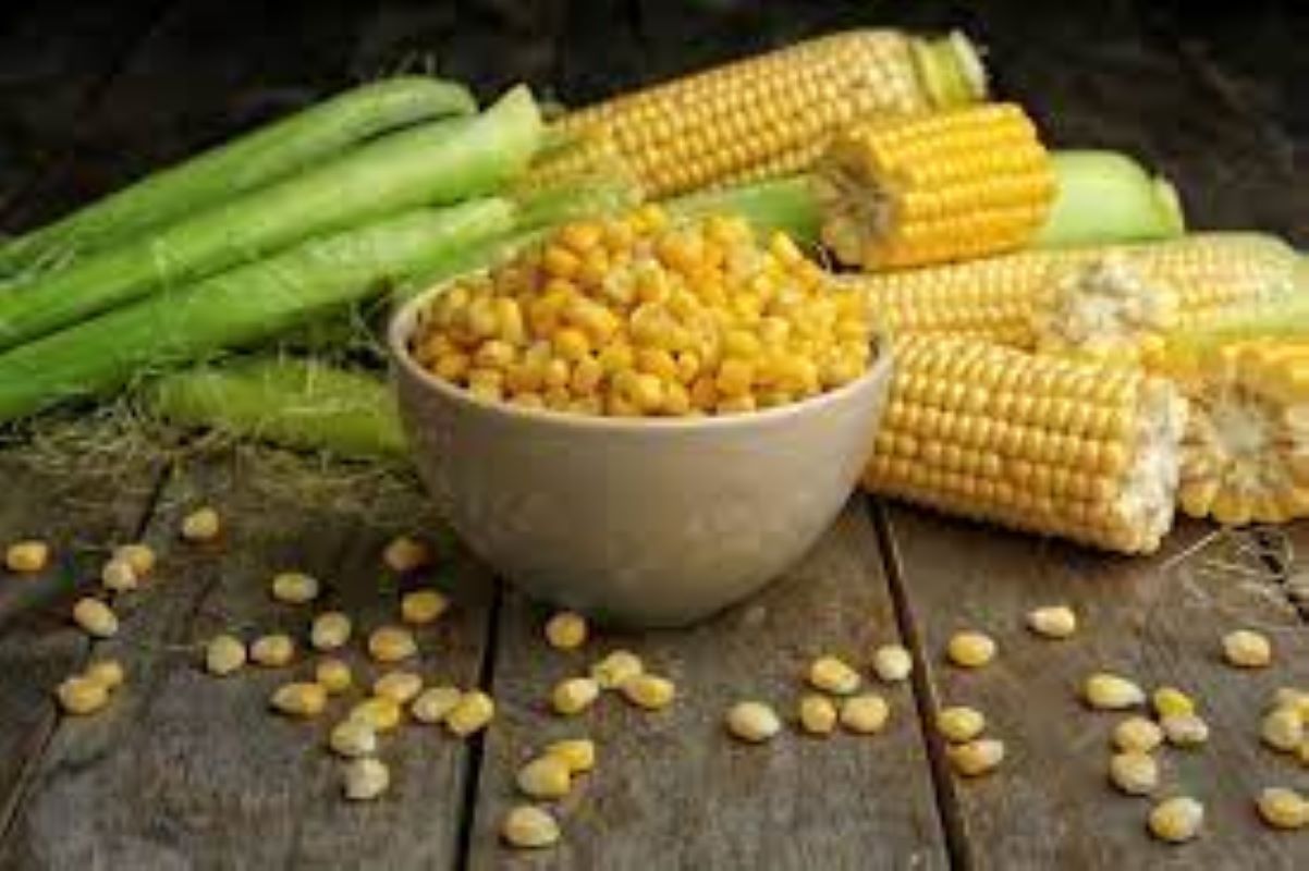 Benefits Of Sweet Corn For Skin