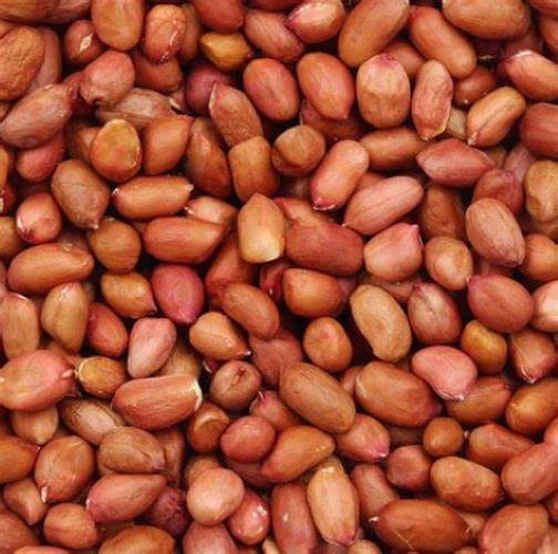 Get the Best Quality Peanuts at an Affordable Price