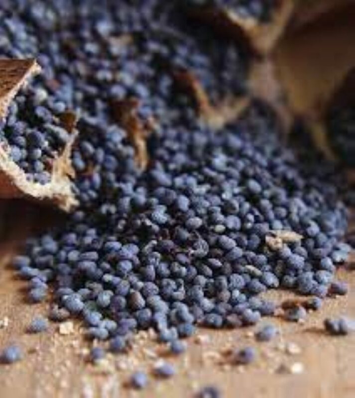 Poppy Seeds Benefits in Ayurveda