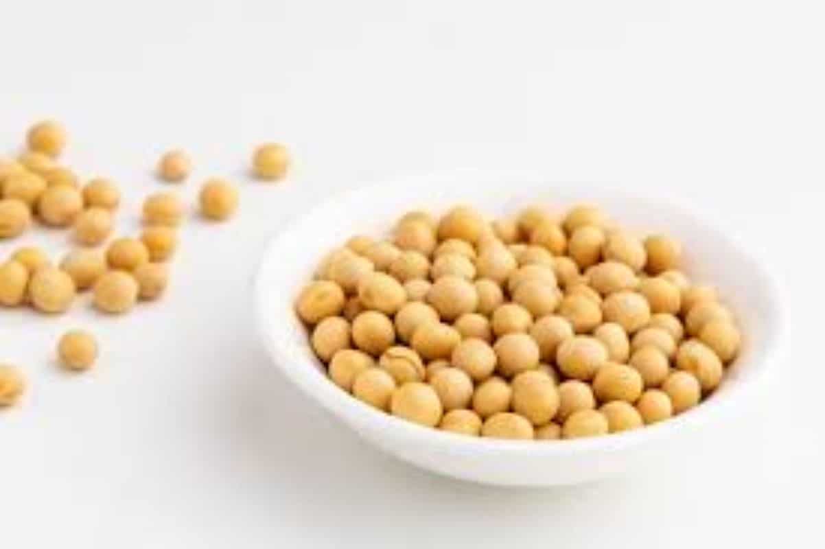 Soy Nuts Benefits And Side EffectsKnow More About Soy Nuts at