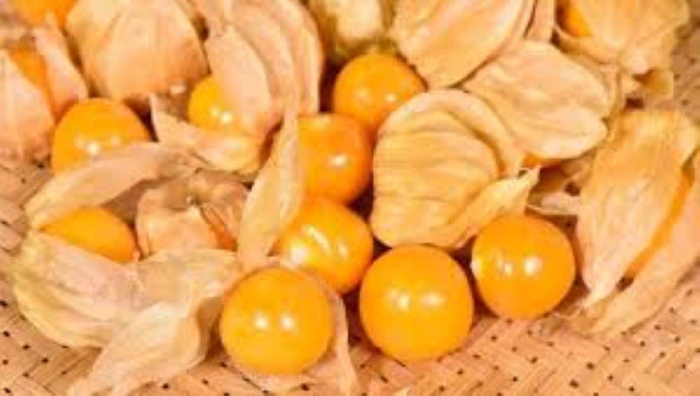 dried golden berries health benefits-foodnutra.com