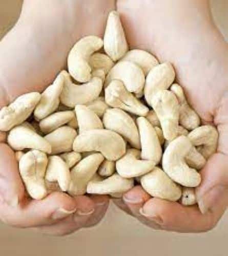 What is the Best Grade of Cashew Nuts?